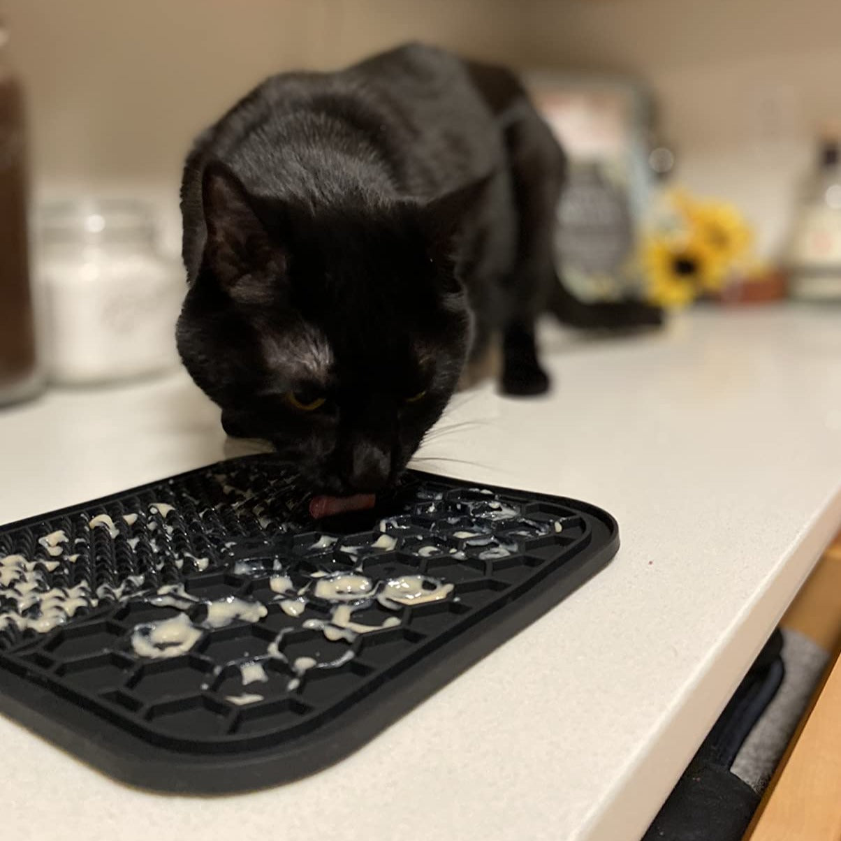 Alfombrilla LaberinTOP (Azul) - Para Mascotas
