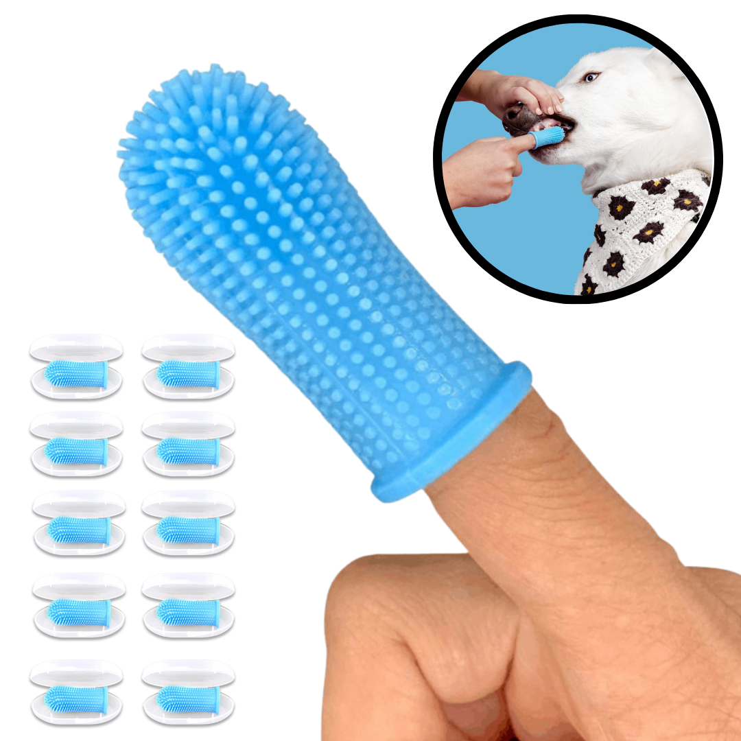 Súper Dedal 360° | Cepillo Dental (10 Pack)