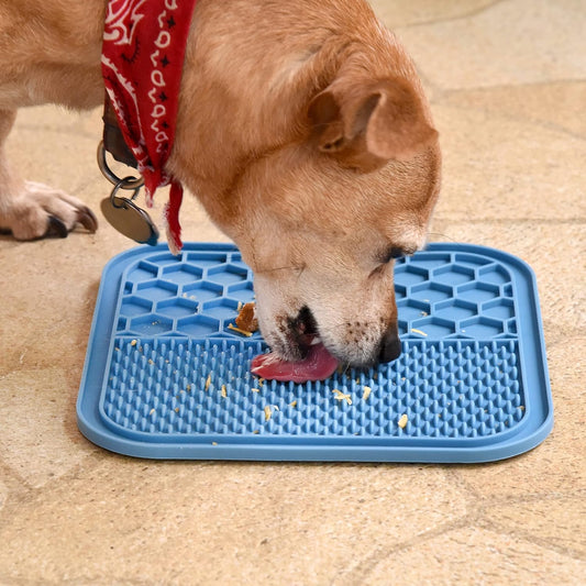 Alfombrilla LaberinTOP (Azul) - Para Mascotas